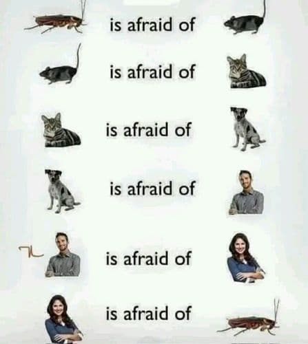The cycle of life.