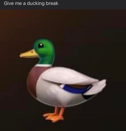 Because it’s a duck instead of fuck