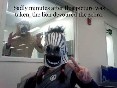 Life in the wild.