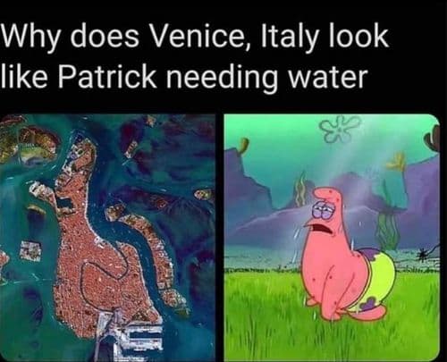What kind of place is this