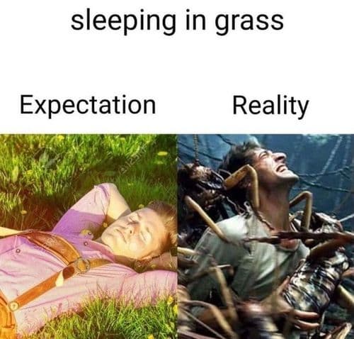 me_irl