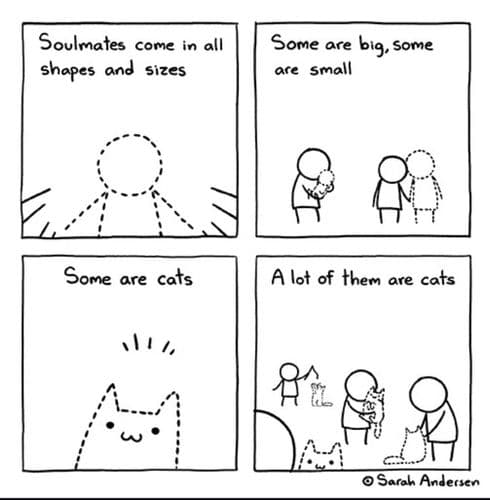 me_irl