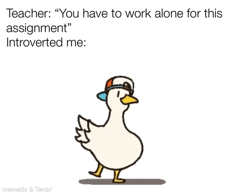 I am the only person