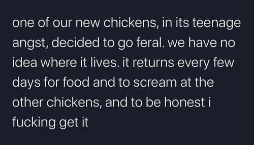me_irl