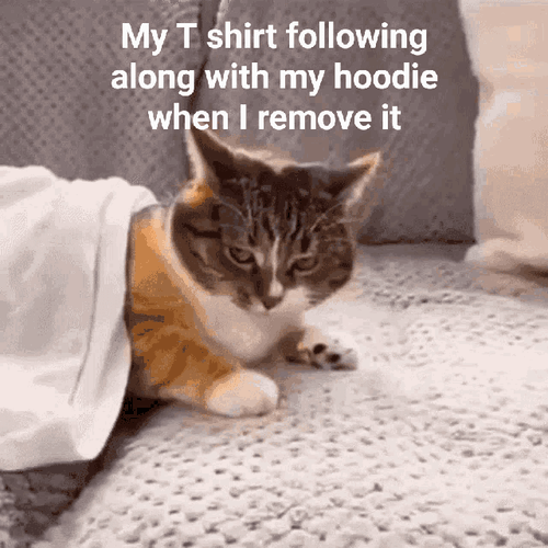 I'm way too sleepy to think of a title