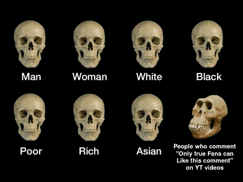 If you do this, please get a life