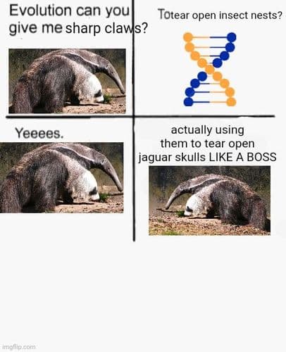 Evolution is weird