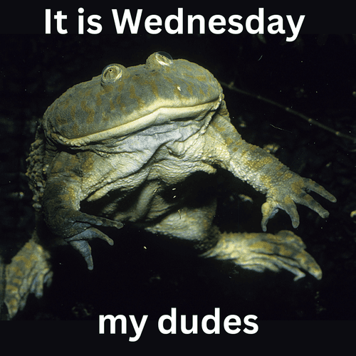 Me irl