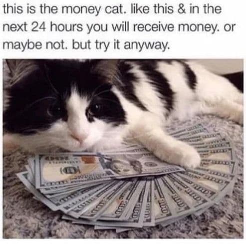 Have some, or not