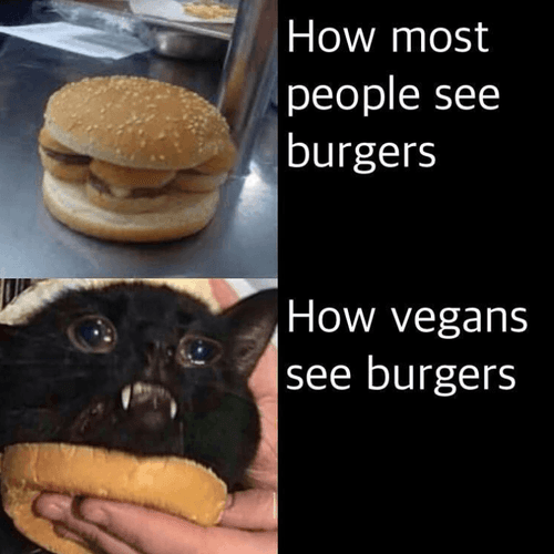 ham burger