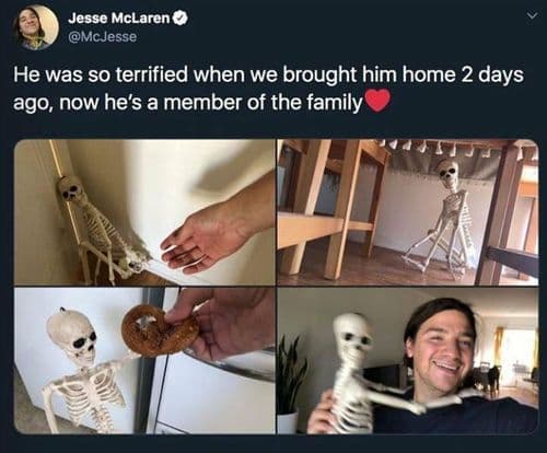 me irl