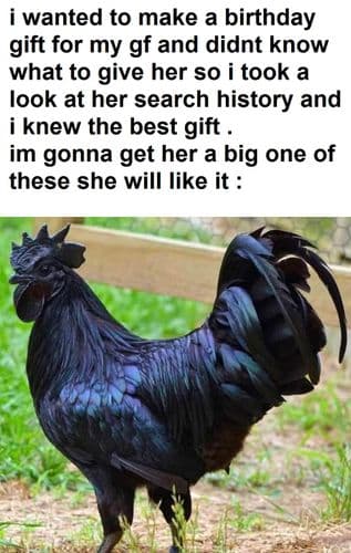 she will love it...... right ?
