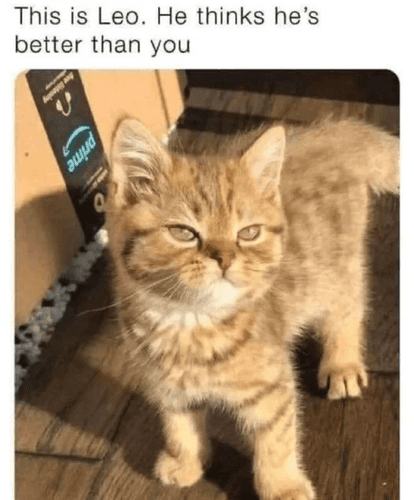 me_irl