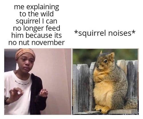 Rules are rules buddy.