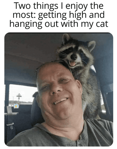 And getting my cat high