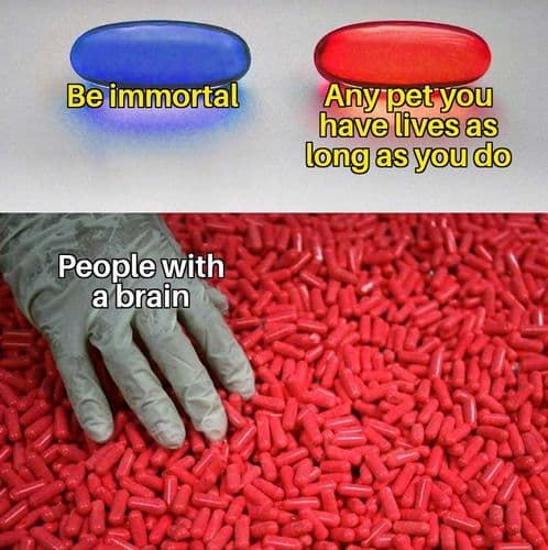 Me_irl